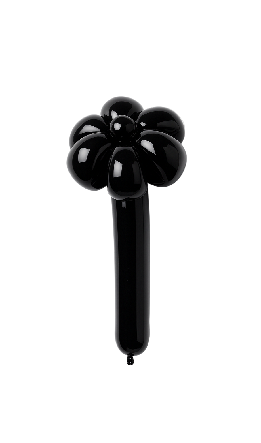 Mini Balloon Flower
