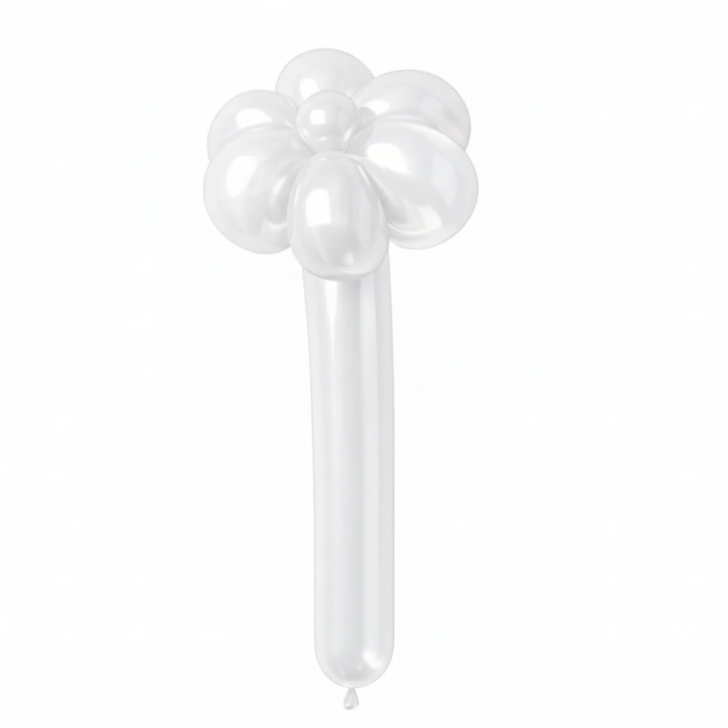 Balloon Flower